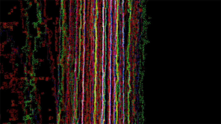 Afficher l'image 20160815