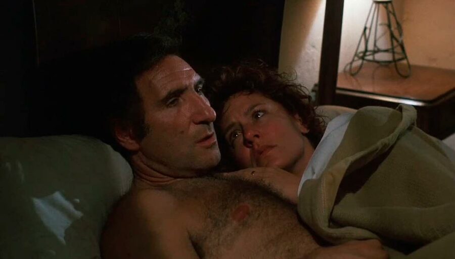 Afficher l'image Christine Lahti, Judd Hirsch