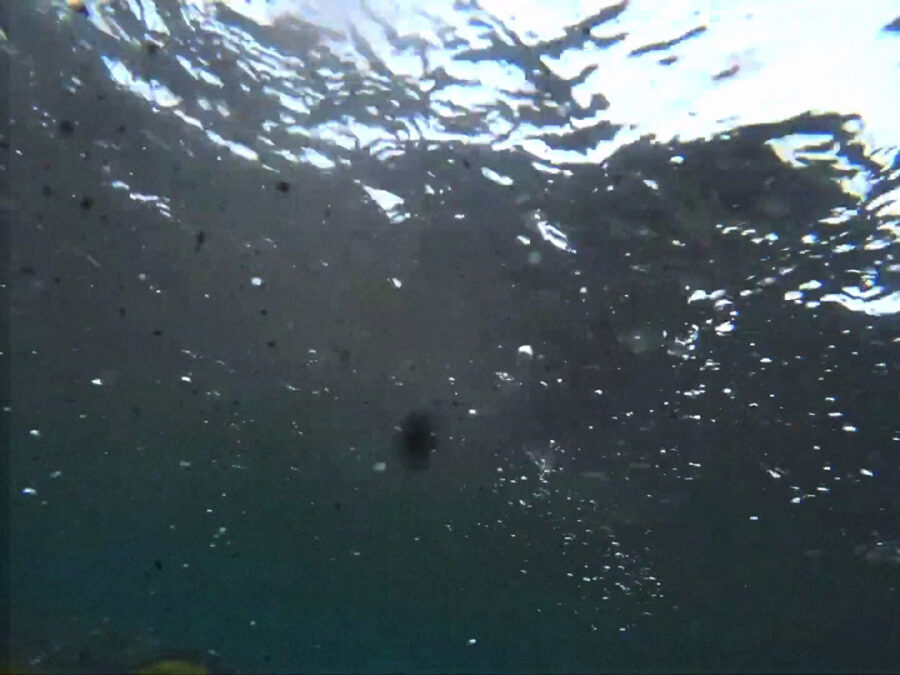 Afficher l'image a-riddle-from-my-past-lives-1