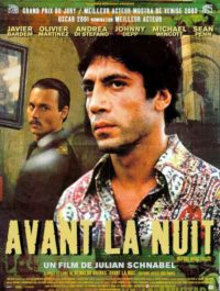 affiche du film Avant la nuit