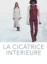 affiche du film La Cicatrice intérieure