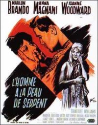 affiche du film L’Homme à la peau de serpent