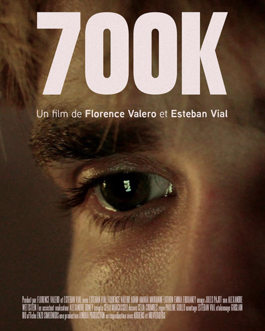 Afficher l'image affiche-700k