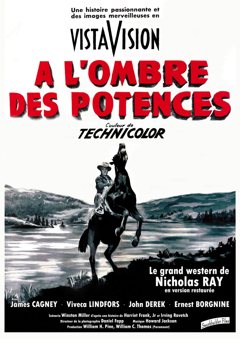 affiche du film A L’Ombre des potences