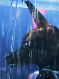 Ouvrir la page du film Bouchra