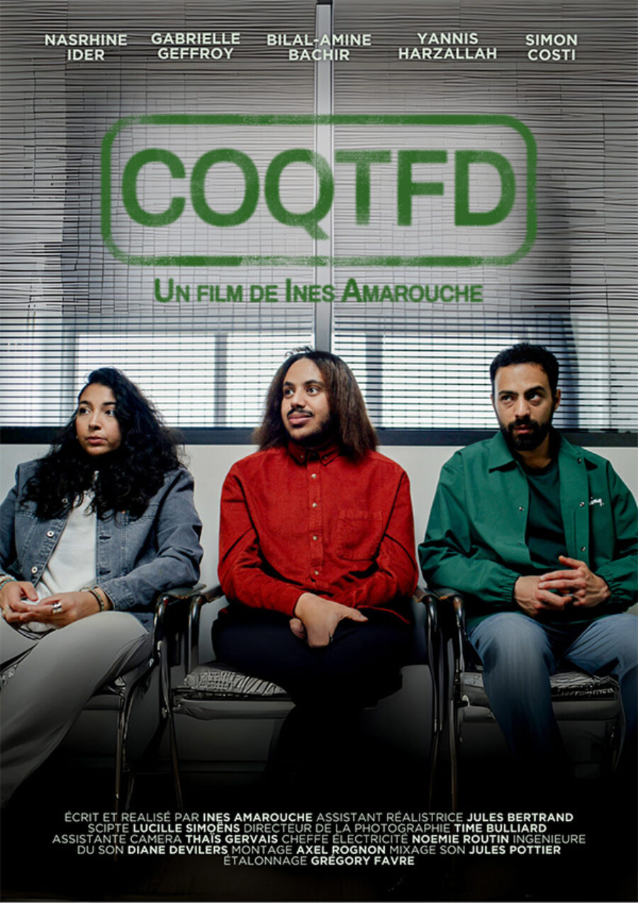 Afficher l'image affiche-coqtfd