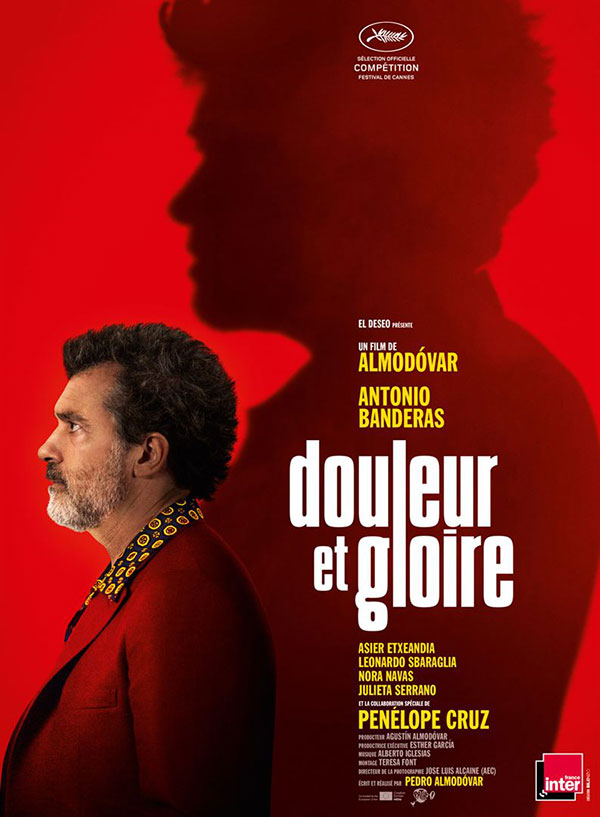 affiche du film Douleur et gloire