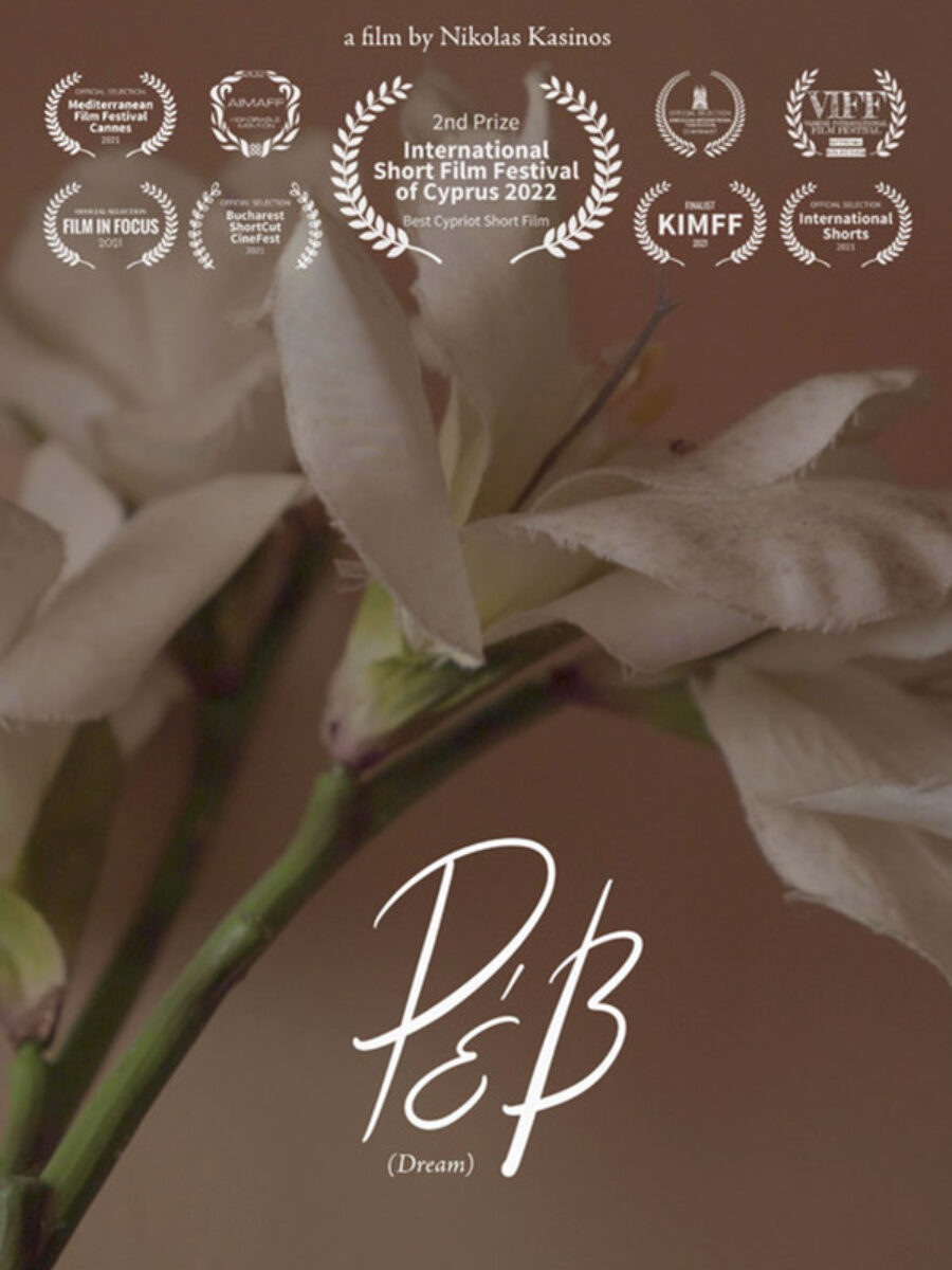 Afficher l'image affiche-dream