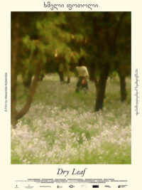 affiche du film Dry Leaf