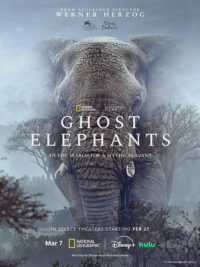affiche du film Ghost Elephants