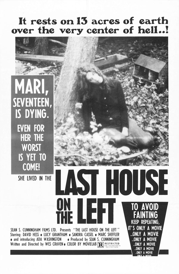 affiche du film La Dernière maison sur la gauche