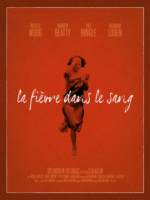 affiche du film La Fièvre dans le sang