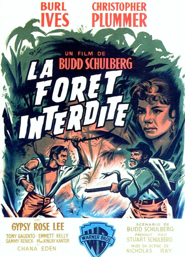 affiche du film Le complexe de la salamandre