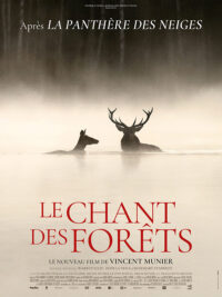 affiche du film Le Chant des forêts