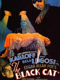 affiche du film Le Chat Noir