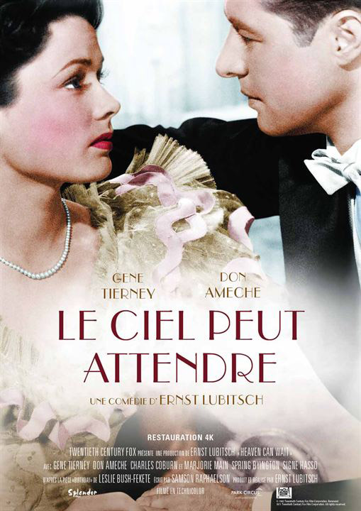 affiche du film Le Ciel peut attendre