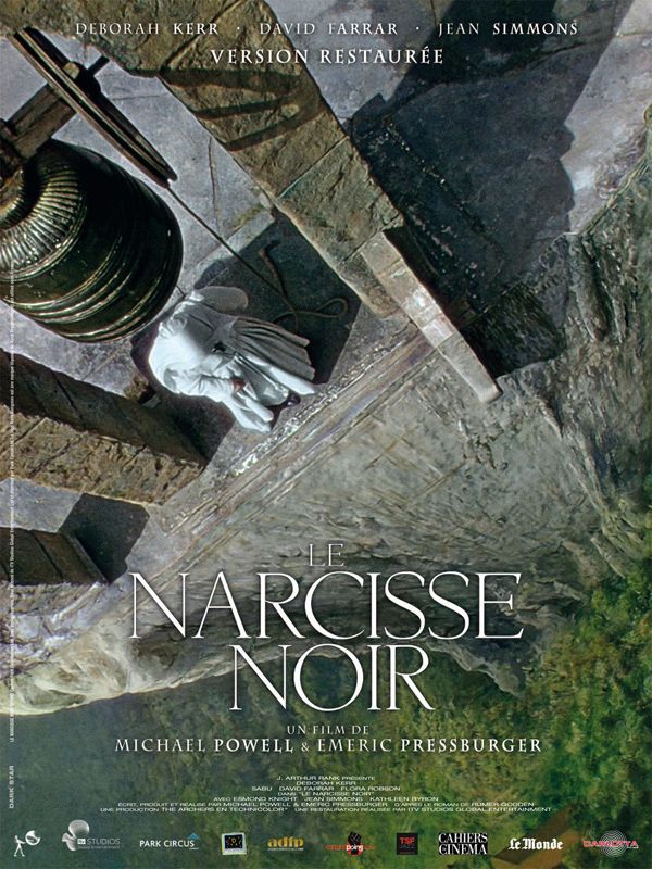 affiche du film Le Narcisse noir