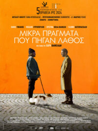 affiche du film Les Petites choses qui font tout rater