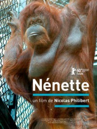 affiche du film Nénette