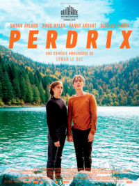 affiche du film Perdrix