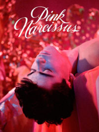affiche du film Pink Narcissus
