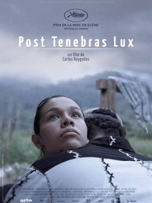 affiche du film Post Tenebras Lux