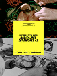 Radicalités écraniques #2