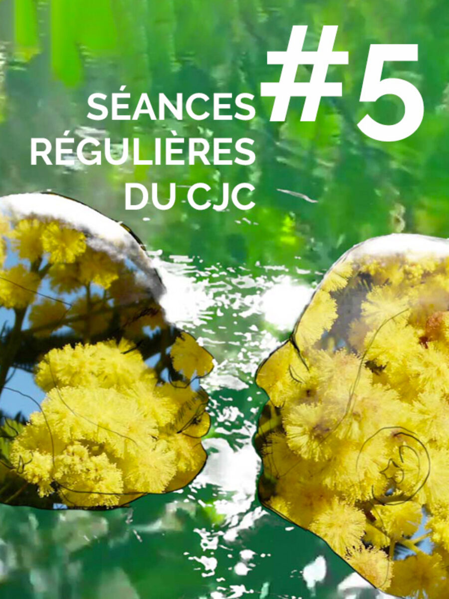 Afficher l'image affiche-seances-regulieres-5