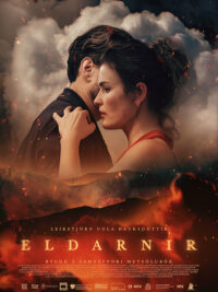 affiche du film The Fires