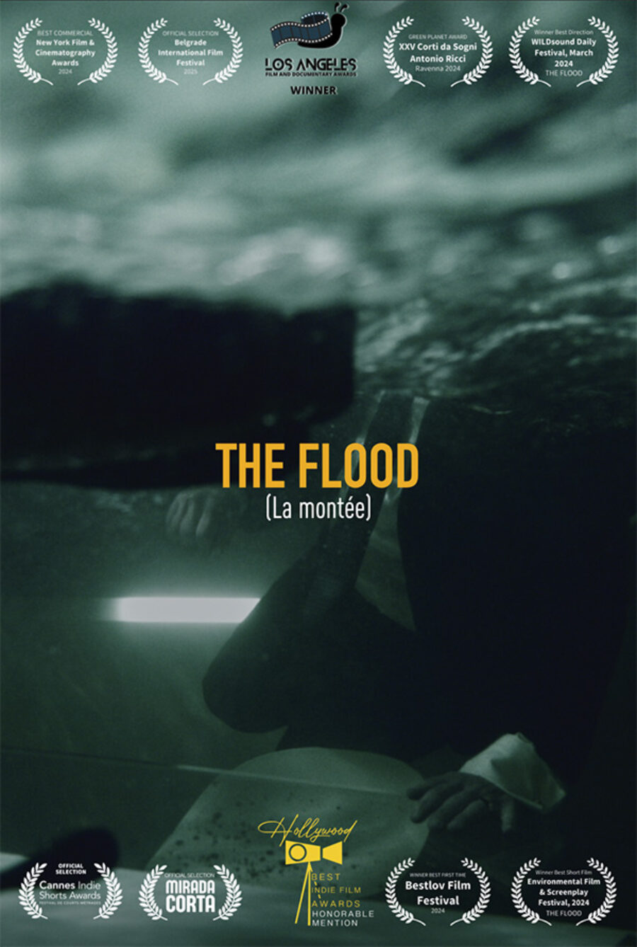 Afficher l'image affiche-the-flood