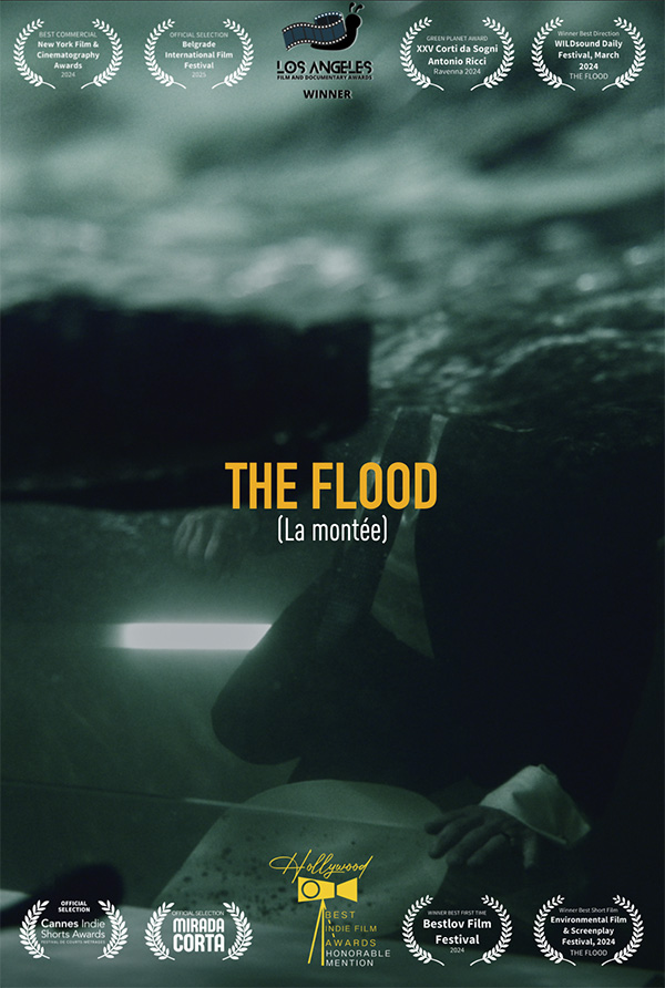 Affiche The flood