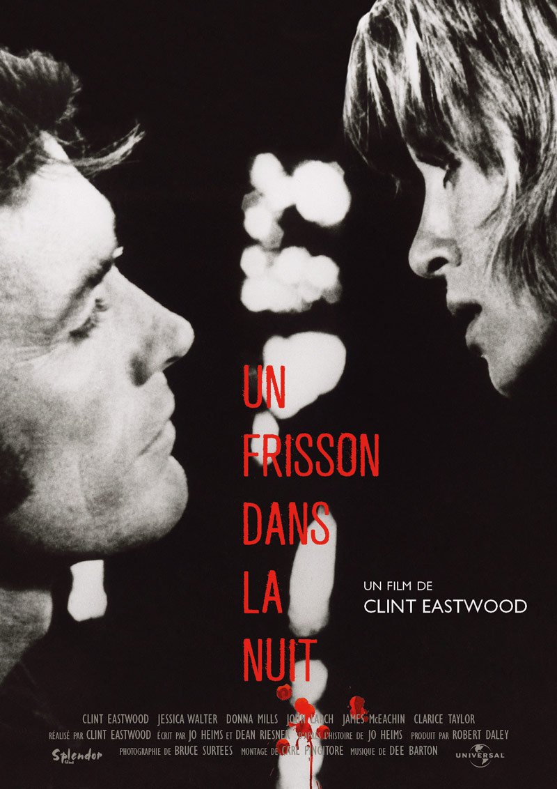 affiche du film Un frisson dans la nuit