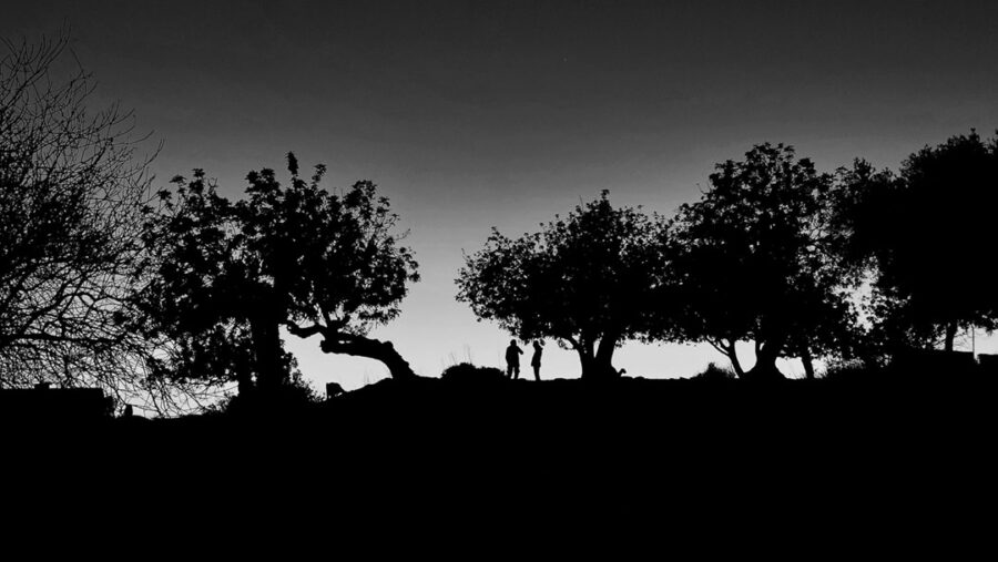 Afficher l'image africa-star-02