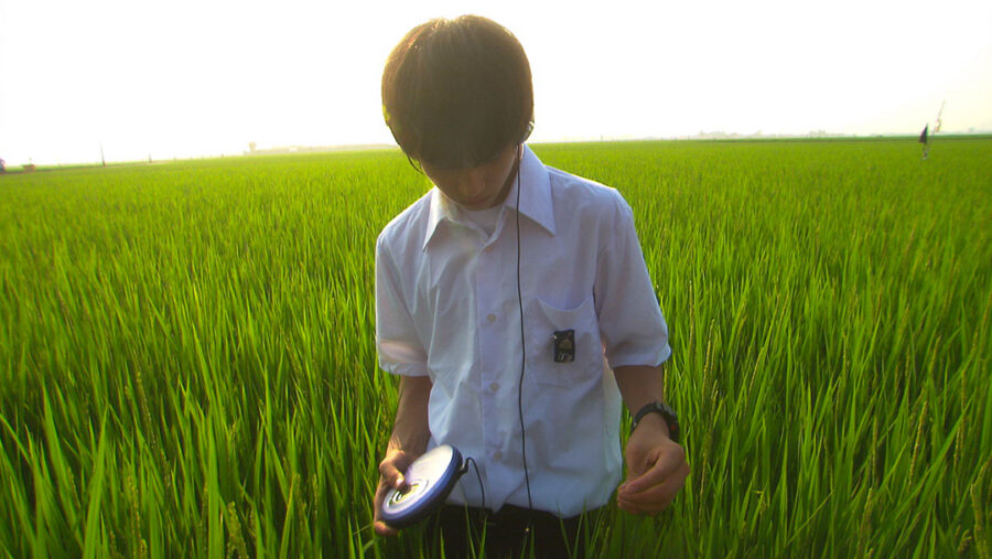 Afficher l'image all-about-lily-chou-chou-01