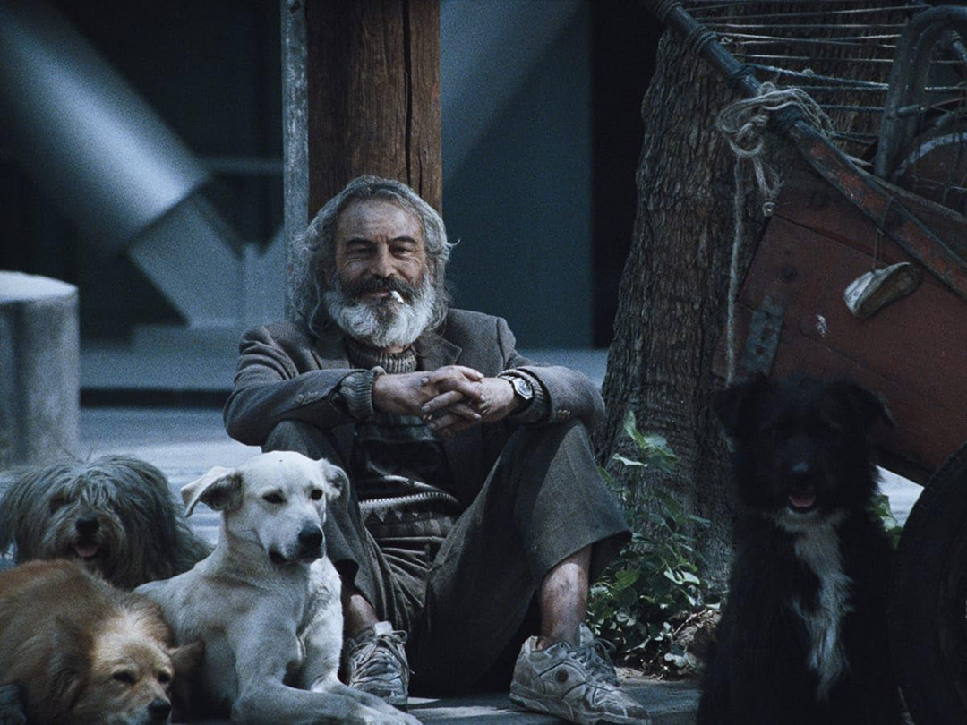 Emilio Echevarría dans Amours Chiennes