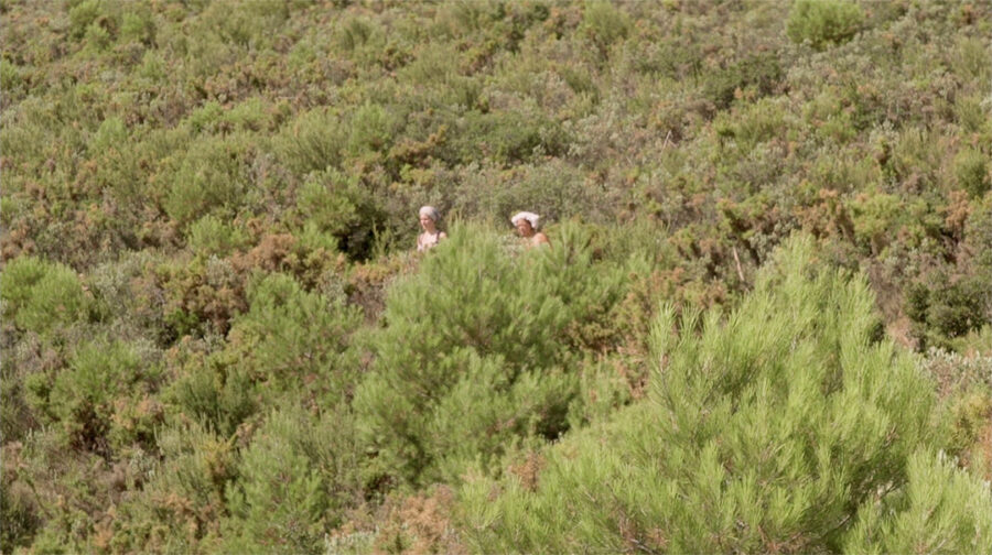 Afficher l'image andy-et-charlie-01