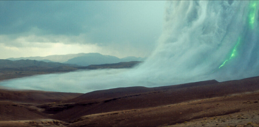 Afficher l'image animalia-01