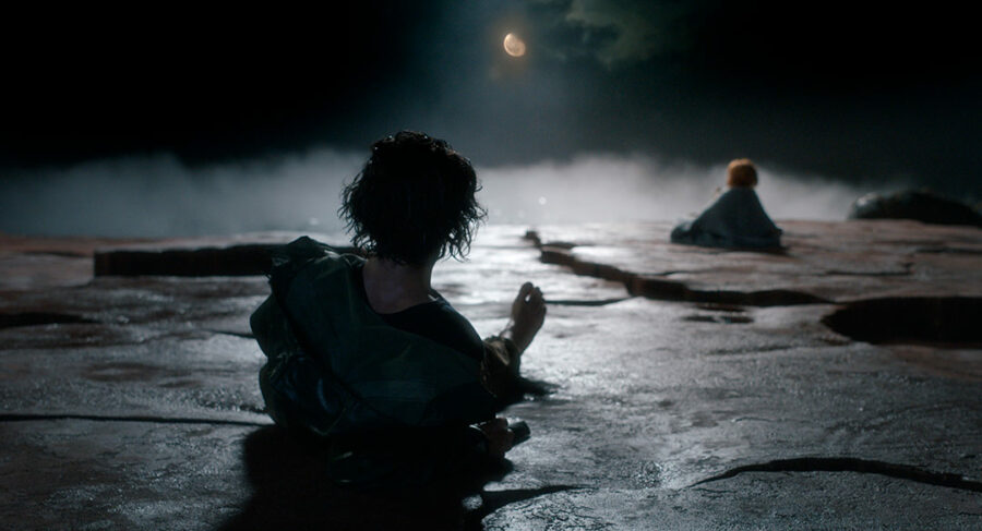 Afficher l'image Adam Driver