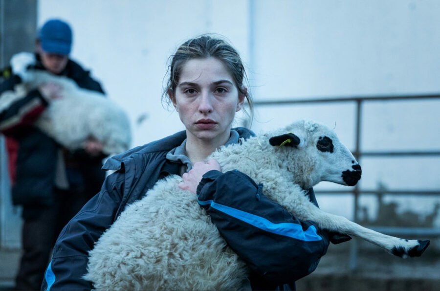 Afficher l'image Marie Colomb