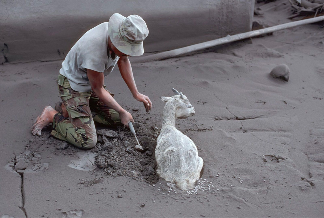 dans Au Cœur des volcans, requiem pour Katia et Maurice Krafft