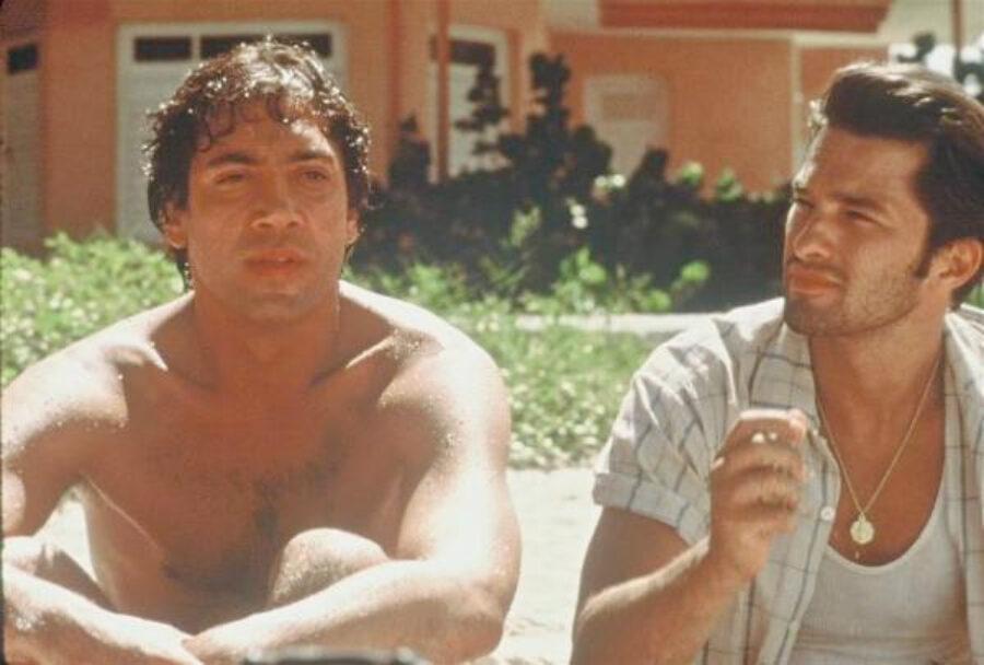 Afficher l'image Javier Bardem, Olivier Martinez