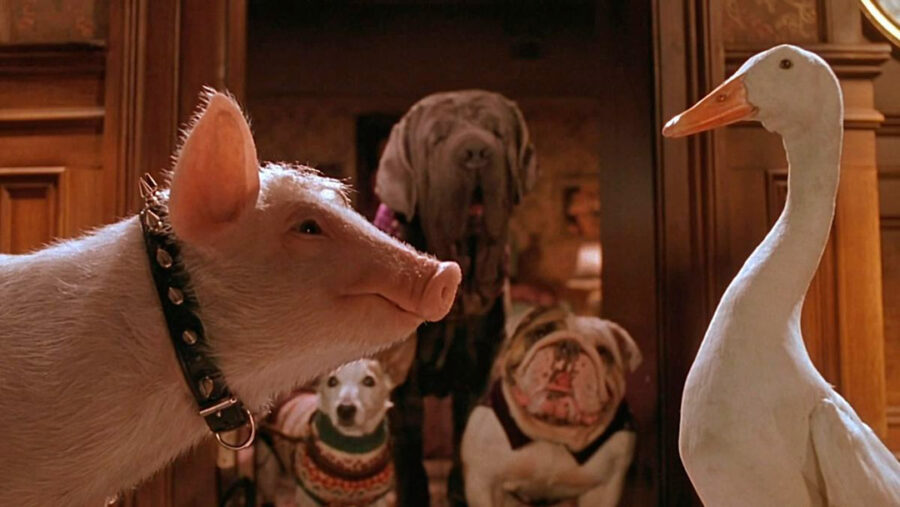 Afficher l'image babe-le-cochon-dans-la-ville-01