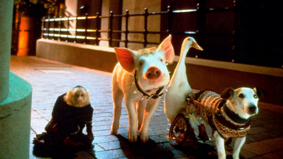 Afficher l'image babe-le-cochon-dans-la-ville-02