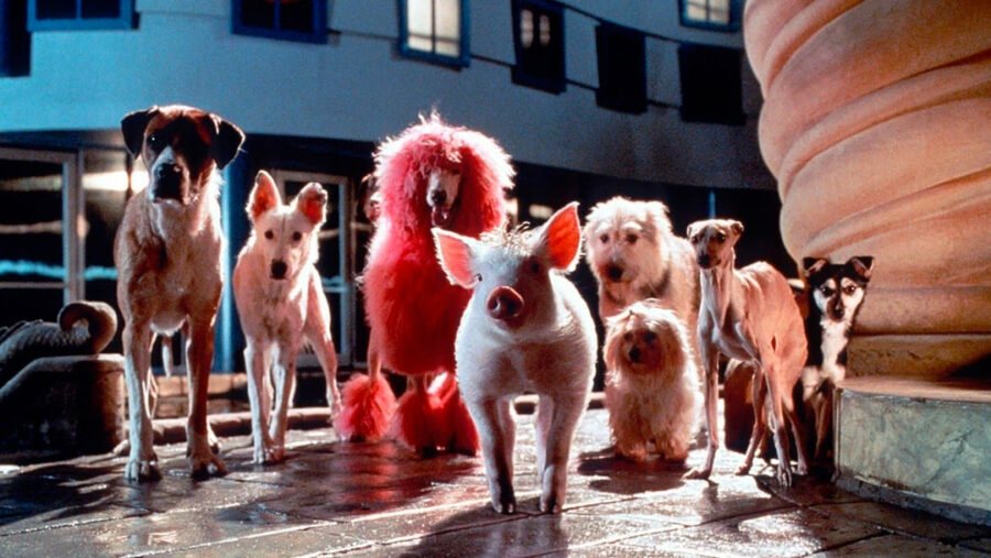 Afficher l'image babe-le-cochon-dans-la-ville-03