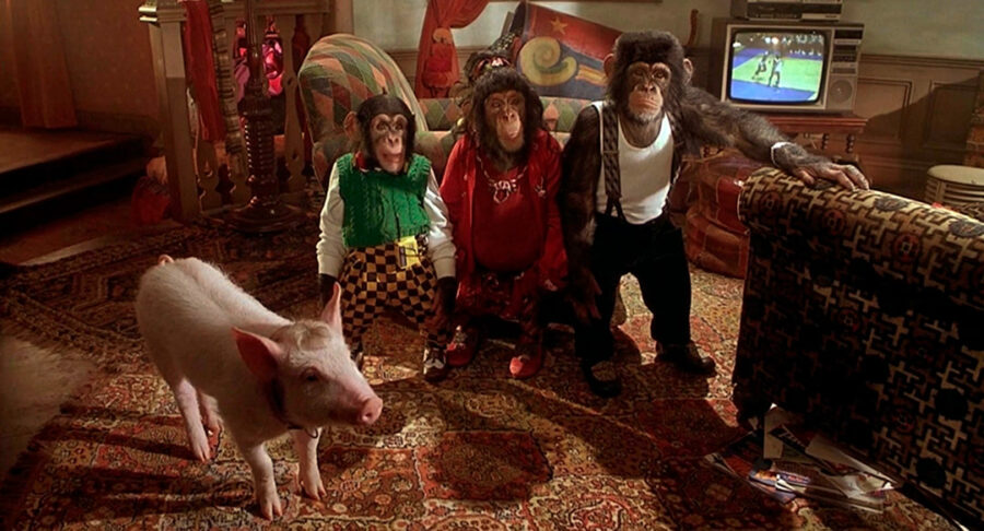 Afficher l'image babe-le-cochon-dans-la-ville-04