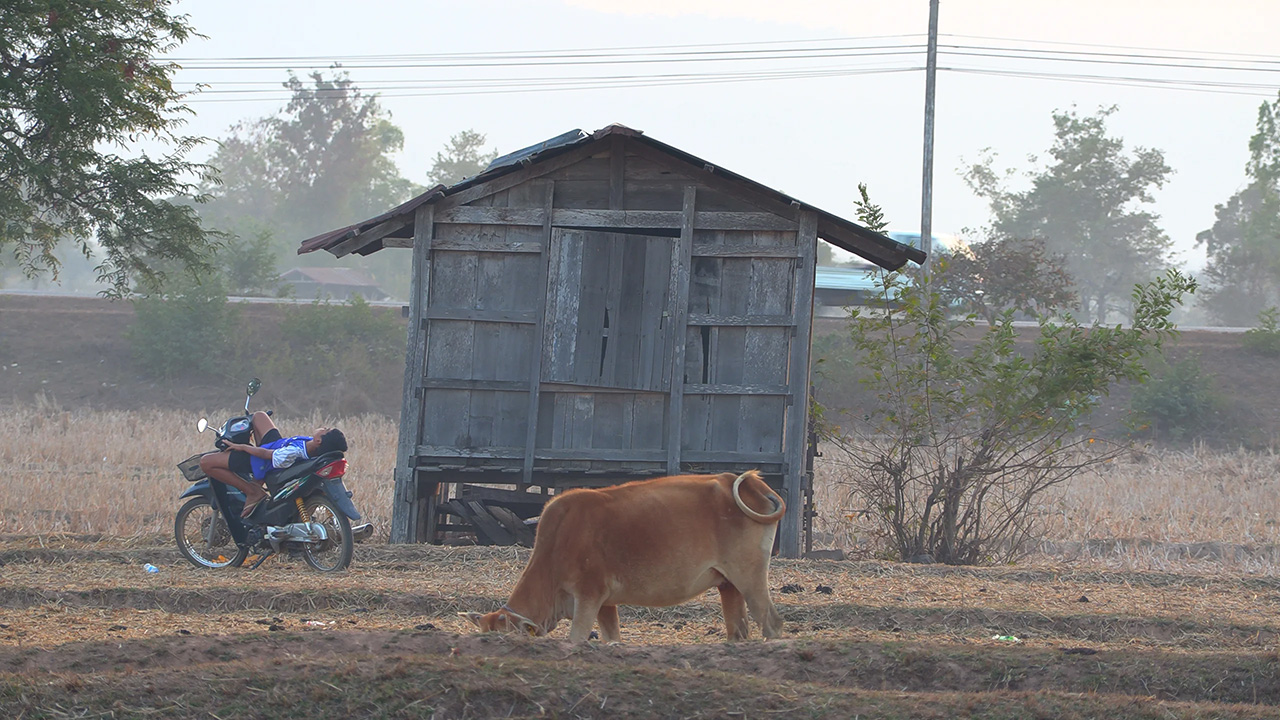 dans Back Home de Tsai Ming-liang