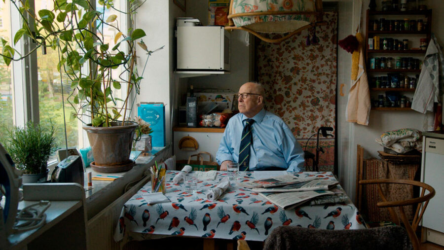 Afficher l'image Hans Blix