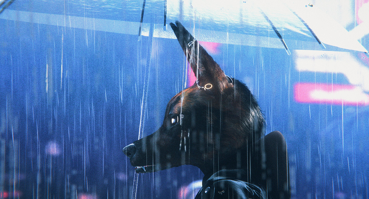 Image du film Bouchra