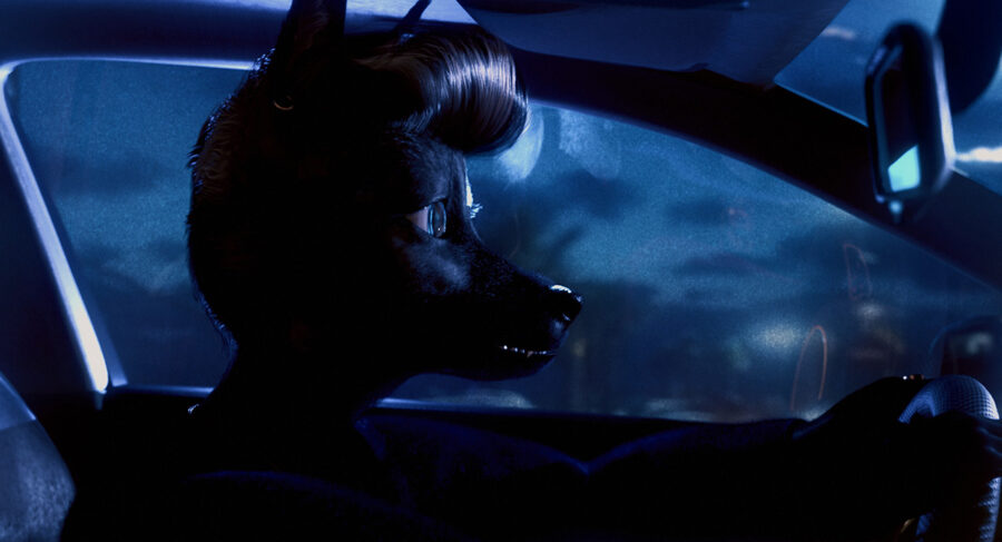 Afficher l'image bouchra-04