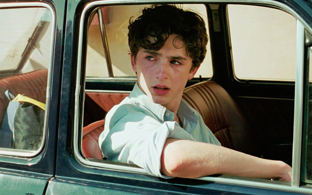 Armie Hammer, Timothée Chalamet dans Call me by your name